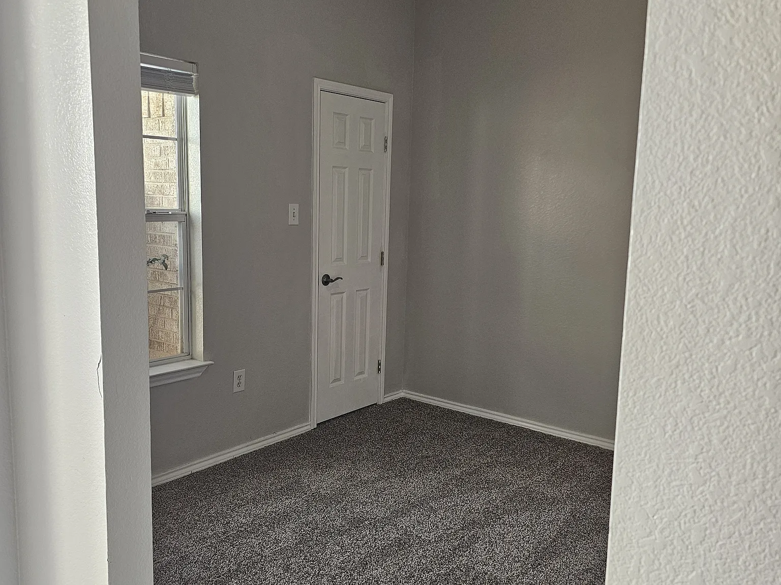 4407 Trevino St - 1 — Photo 3