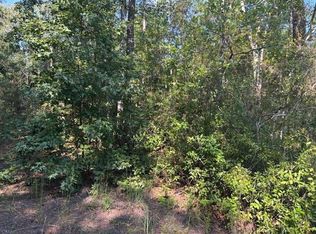 0 SE 8th Avenue, Palatka, FL 32177