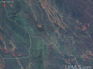 N Hickey Truck Trl, Manistique, MI 49854