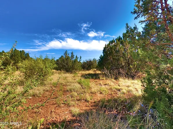 8639-8641 COX Drive #318, Show Low, AZ 85901