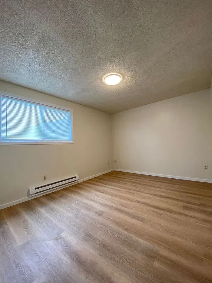 3 bed, 1.0 bath, 1004 sqft, $2,300 — Photo 4