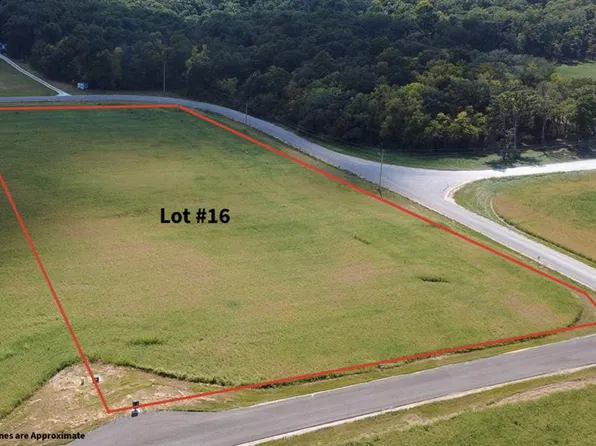 100 Otto Ct, Silex, MO 63377