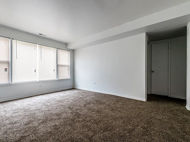 8855 S Cottage Grove Ave — Photo 21