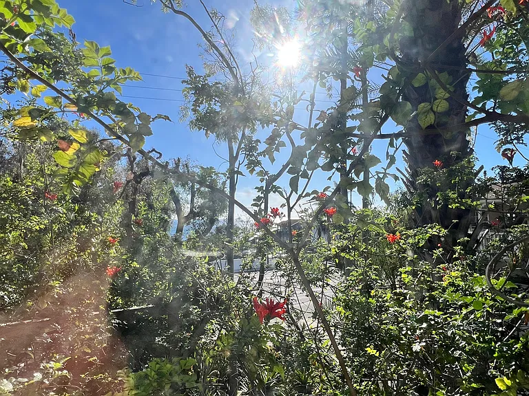 2200 S Coast Hwy #D — Photo 17