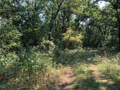 Alyssa Rd, Versailles, MO, 65084