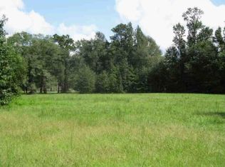 221 Brian Moore Rd, Longville, LA 70652