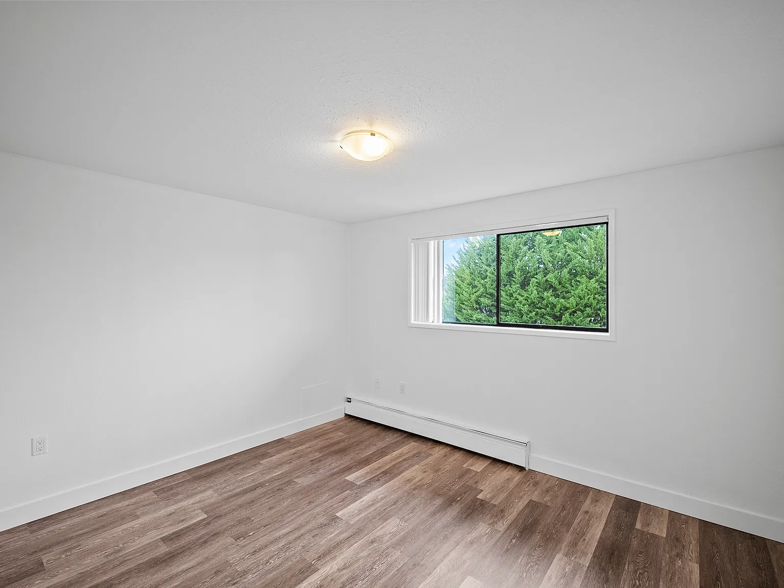 Ellery Street Apartments — Photo 4