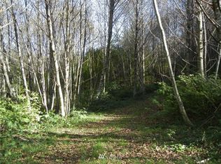 0 Dubois Rd, Ariel, WA 98603