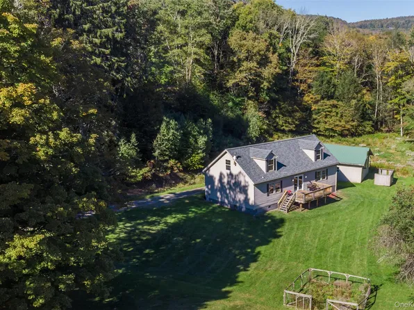 3 Parks Road, Livingston Manor, NY 12758