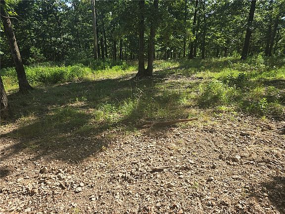 4th image of LOT 9 Esculapia Hollow Rd