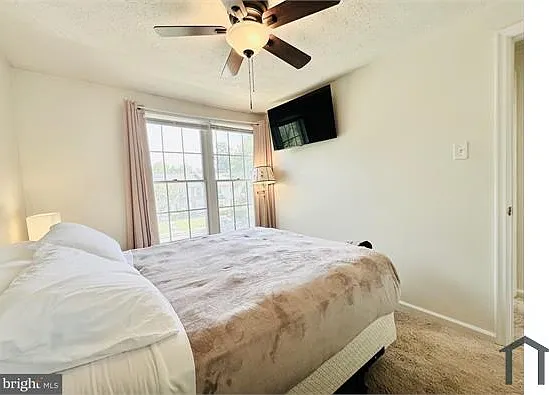 51 Chins Ct — Photo 24