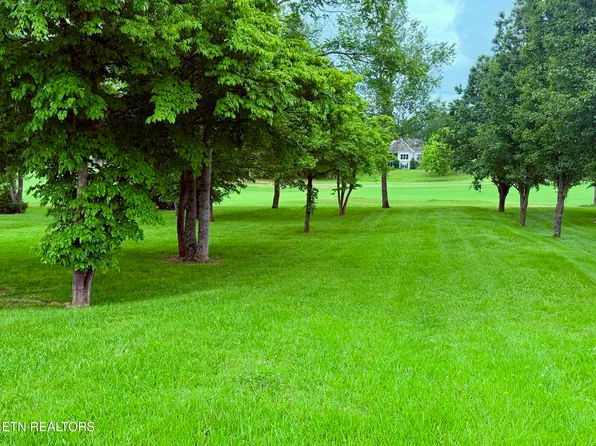 113 Nunnehi Trl, Vonore, TN 37885