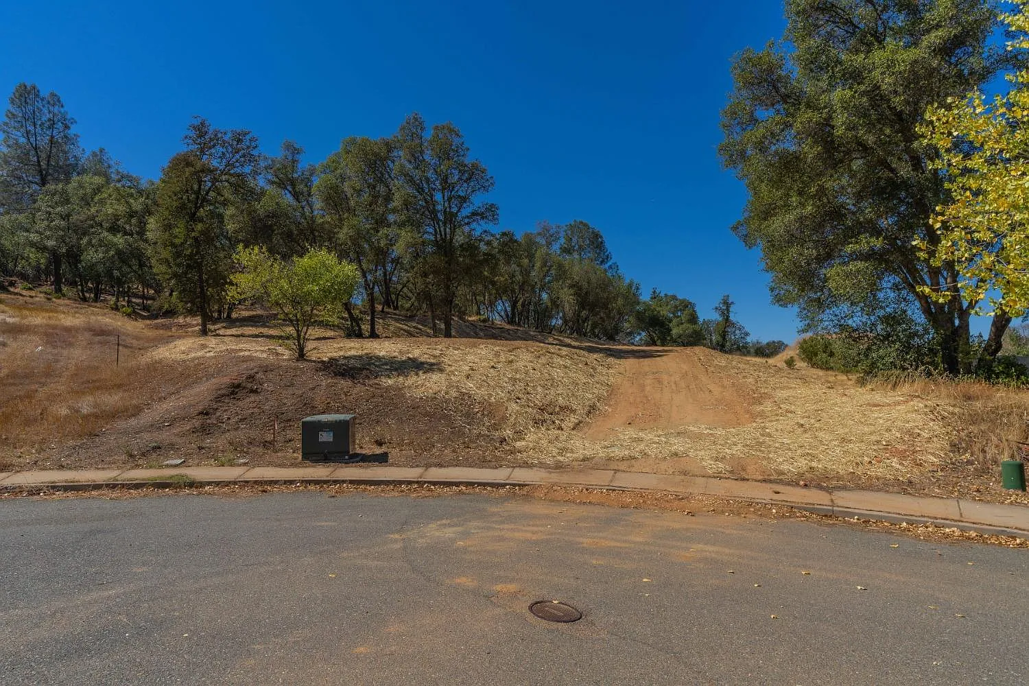 1562 Nevill Ct photo 1