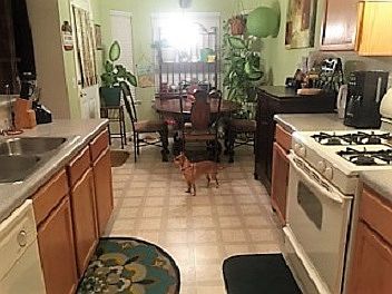 5th image of 106 Lightfoot Ct