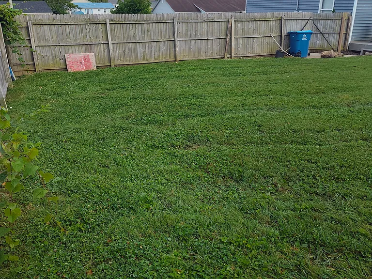 104 Holly Ct — Photo 6
