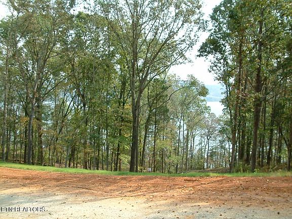 5th image of 0 E Shore Dr Lot 142
