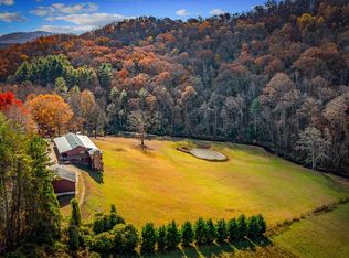 908 Cashes Valley Rd, Cherry Log, GA 30522