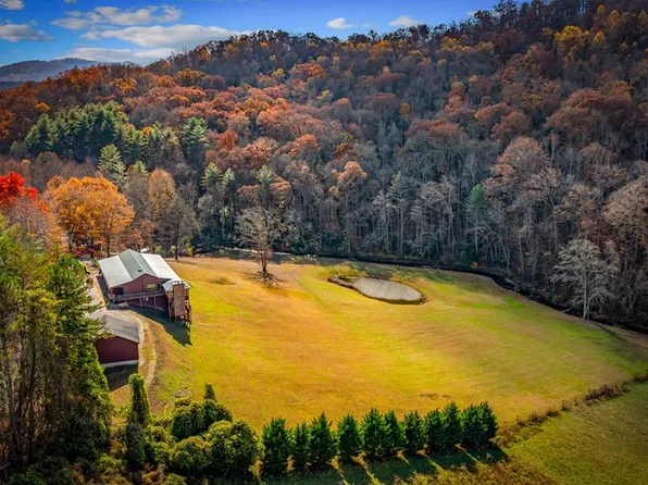 908 Cashes Valley Rd, Cherry Log, GA 30522