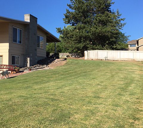 Side yard