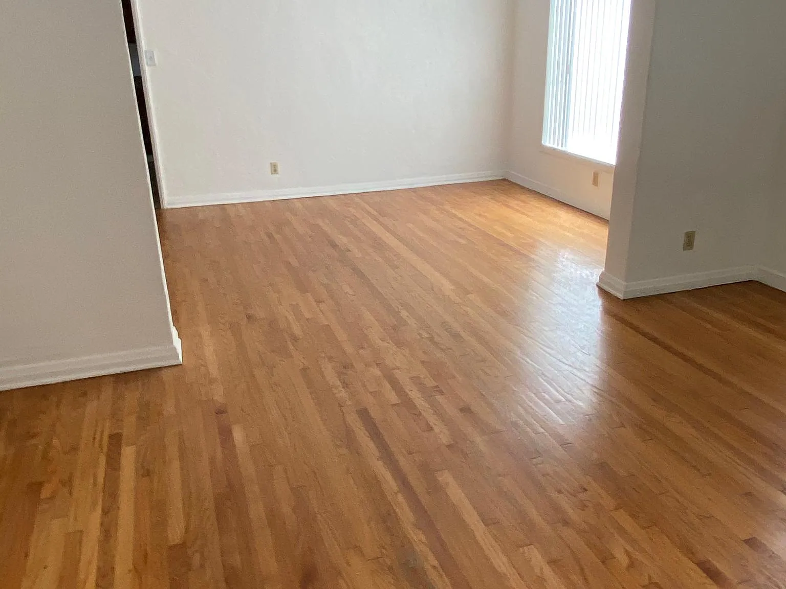 1100 S Shenandoah St — Photo 3