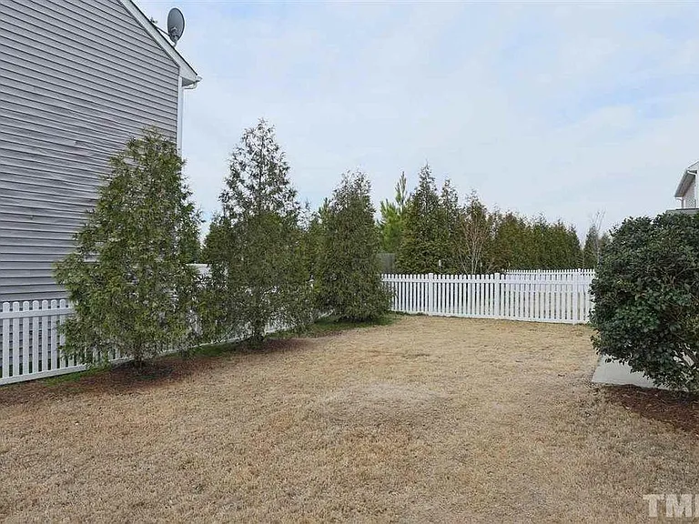 back yard