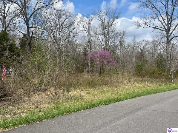 388 Cartwright Estates Rd, Lebanon Junction, KY 40150