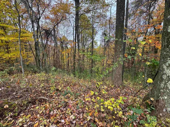 TBD Rohr Road, Masontown, WV 26542