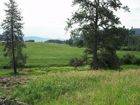5th image of 1688B Highway 395 S