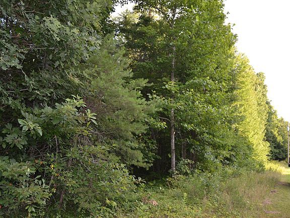 3rd image of 0 Mountain Laurel Trl Lot 7