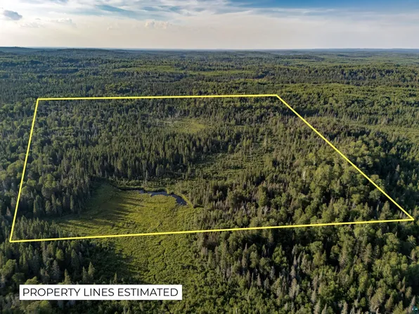 TBD Hoist Lake Rd, Finland, MN 55603
