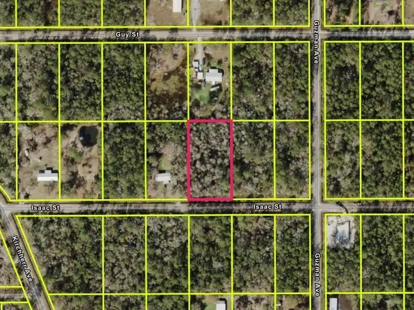 4320 Isaac Street, Hastings, FL 32145