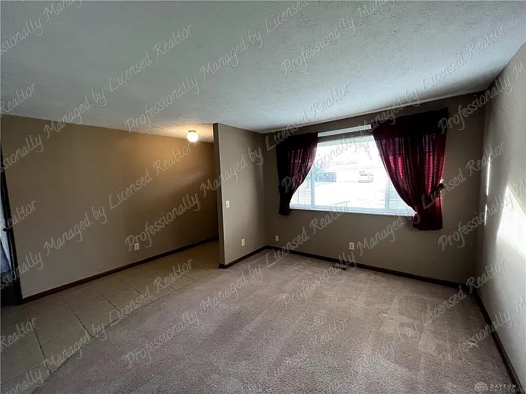 8774 Shadycreek Dr — Photo 5