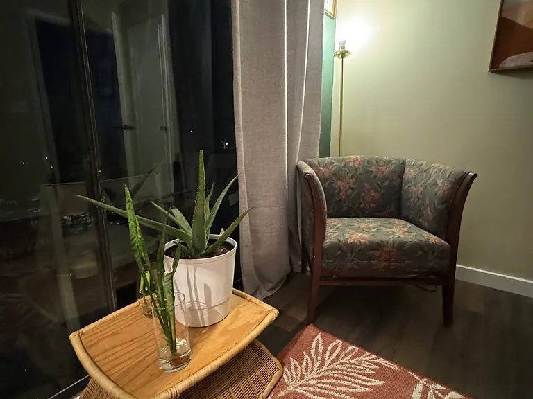 Flex room/office