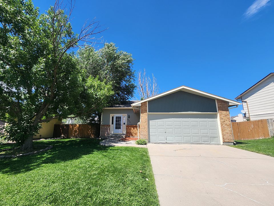 982_daffodil_08142024