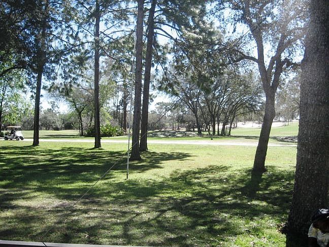 View of Golf Course