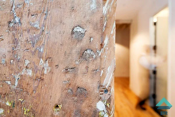 Rented by EXR | media 47