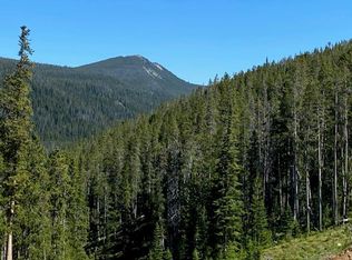 Kenyon Red Lion Rd, Philipsburg, MT 59858