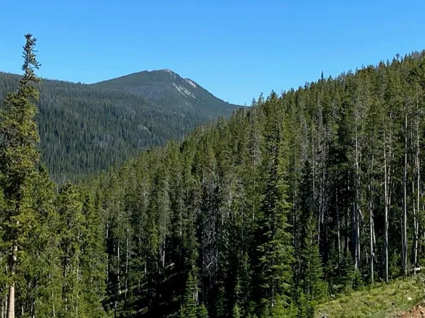 Kenyon Red Lion Rd, Philipsburg, MT 59858