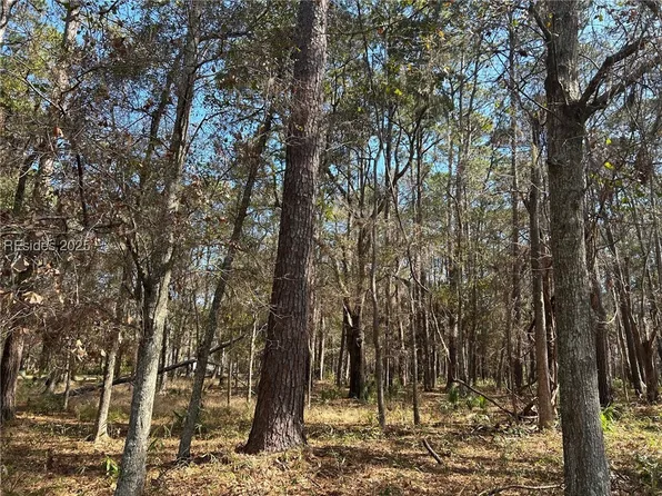 14 Captain Monroe Ln, Daufuskie Island, SC 29915