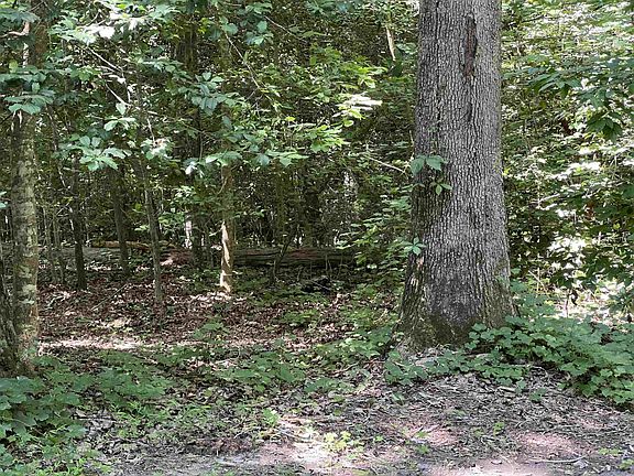 2nd image of 1139 Beaver Br #1139