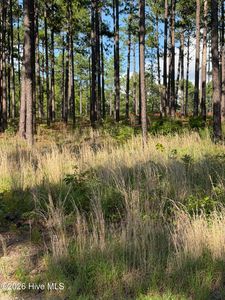 481 N Fort Bragg Road, Southern Pines, NC, 28387