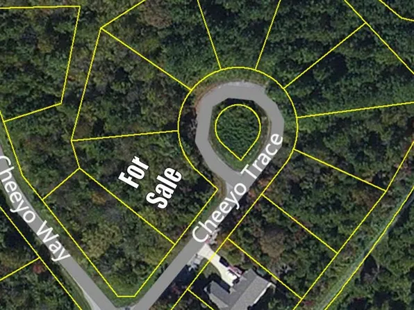 206 Cheeyo Trce, Tellico Plns, TN 37774