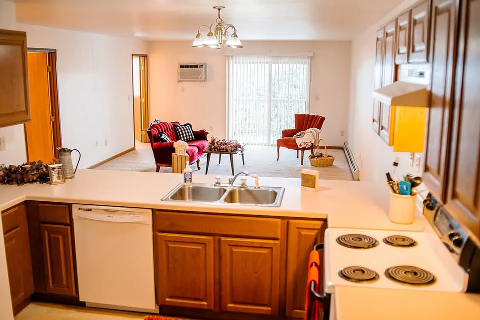 2 bed, 1100 sqft, $1,295 — Photo 3