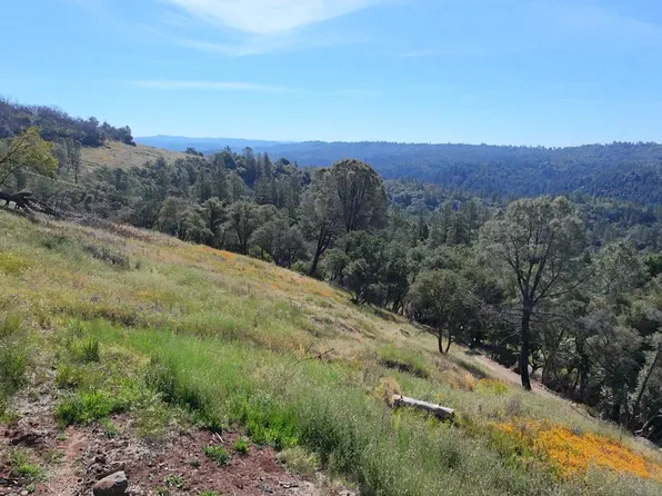 1687 Duden Dr, Placerville, CA 95667