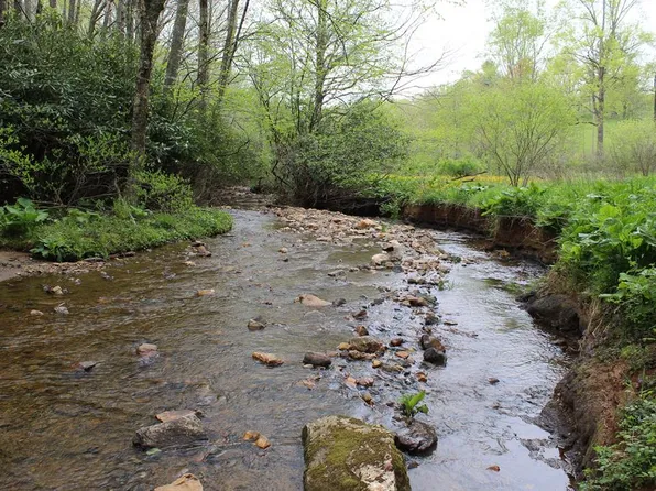 0 Trillium Rd, Laurel Fork, VA 24352