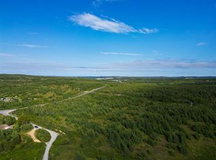 0 Picketts Road, Conception Bay North, NL A0A1G0