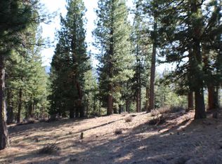 291 Cayden Dr, Clio, CA 96106