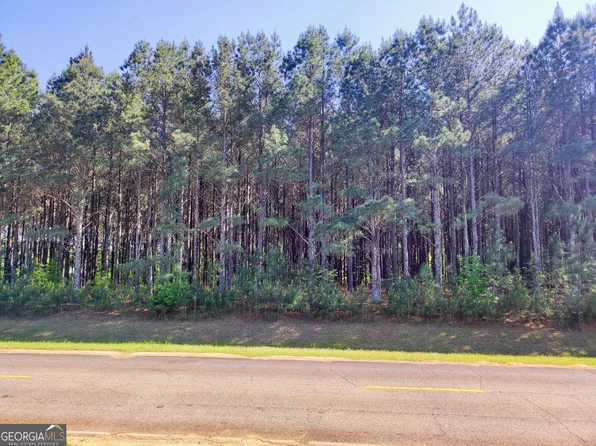 0 Northern County Line Rd, Unadilla, GA 31091