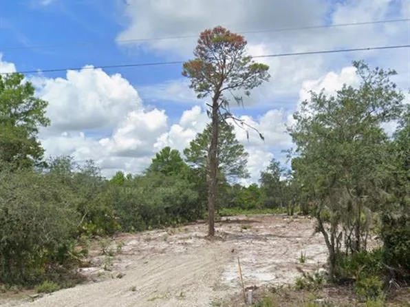 Woodstork Way Lot 87, Frostproof, FL 33843