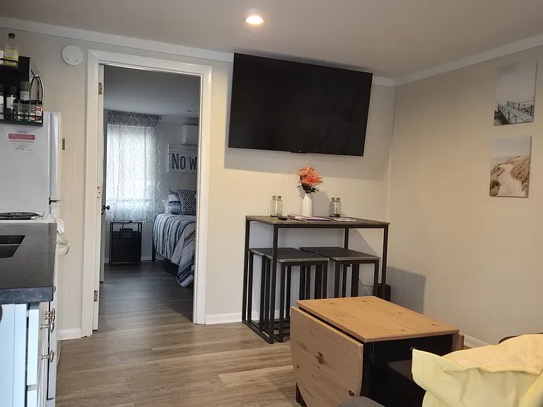 Living room with pull out sofa